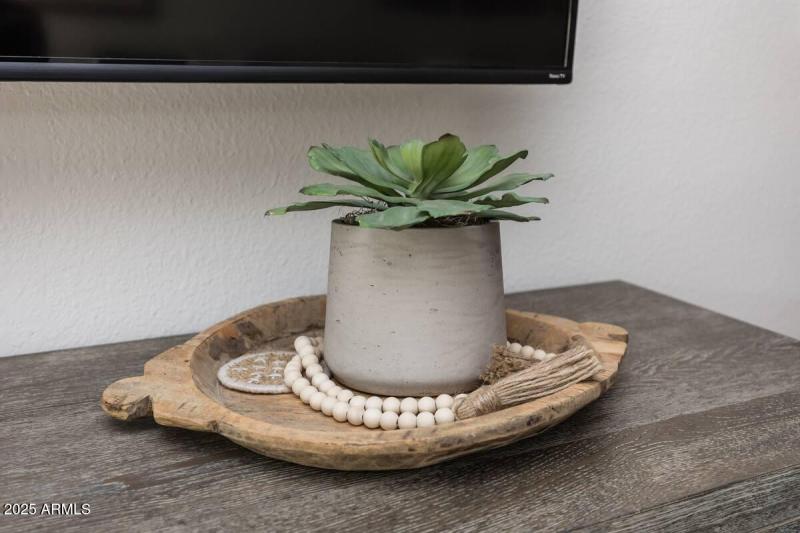 Maya Plant