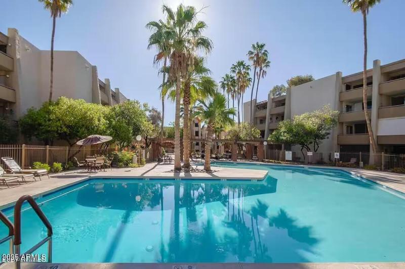 Maya Pool