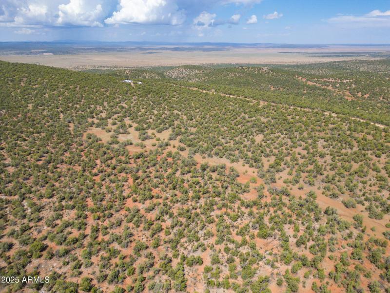 9-web-or-mls-35575-w-pale-moon-rd