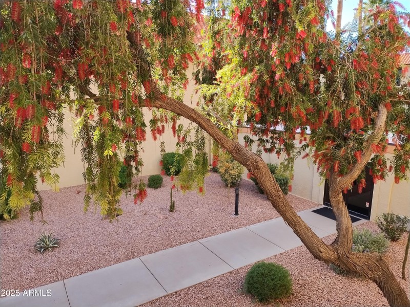 IMG_20250405_170024362