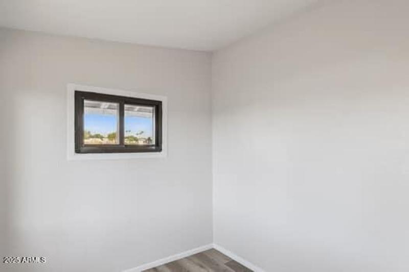 large-01991e3e-a38a-7003-9e32-81f7068a09