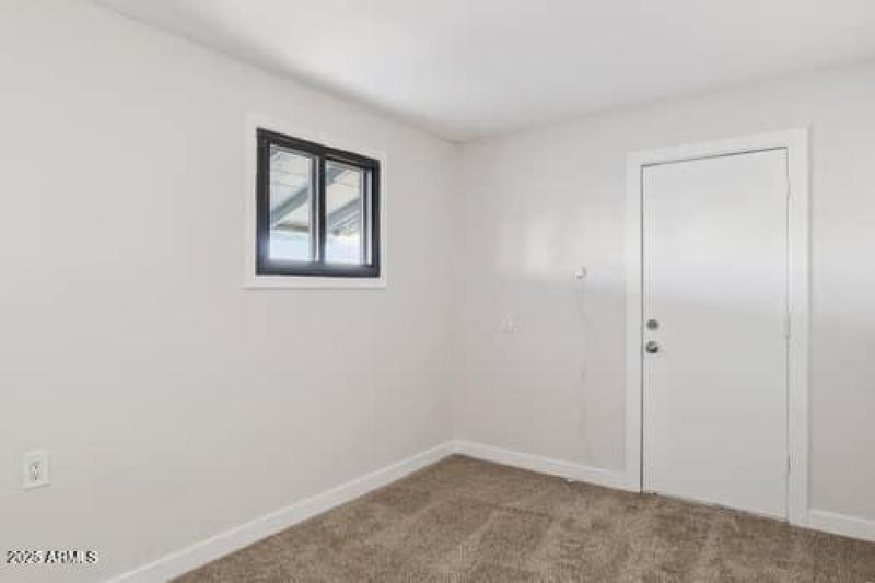 large-01991e3e-ad08-7144-96cc-068e46d657