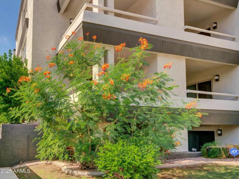 BILTMORE TERRACE at ARIZONA BILTMORE