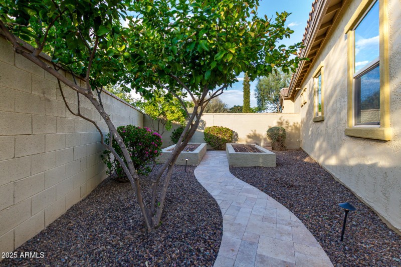 Side yard with Planters