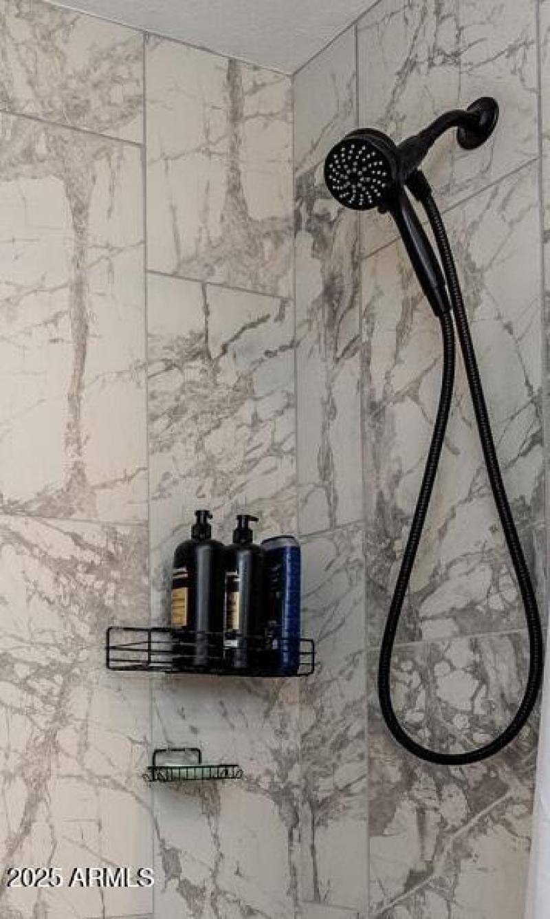 Guest Bath - Shower Handheld