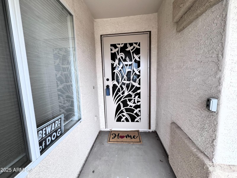 Security Screen Door