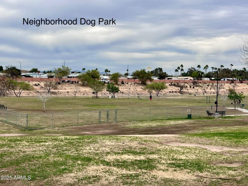 Neighborhood Dog Park Across the Street