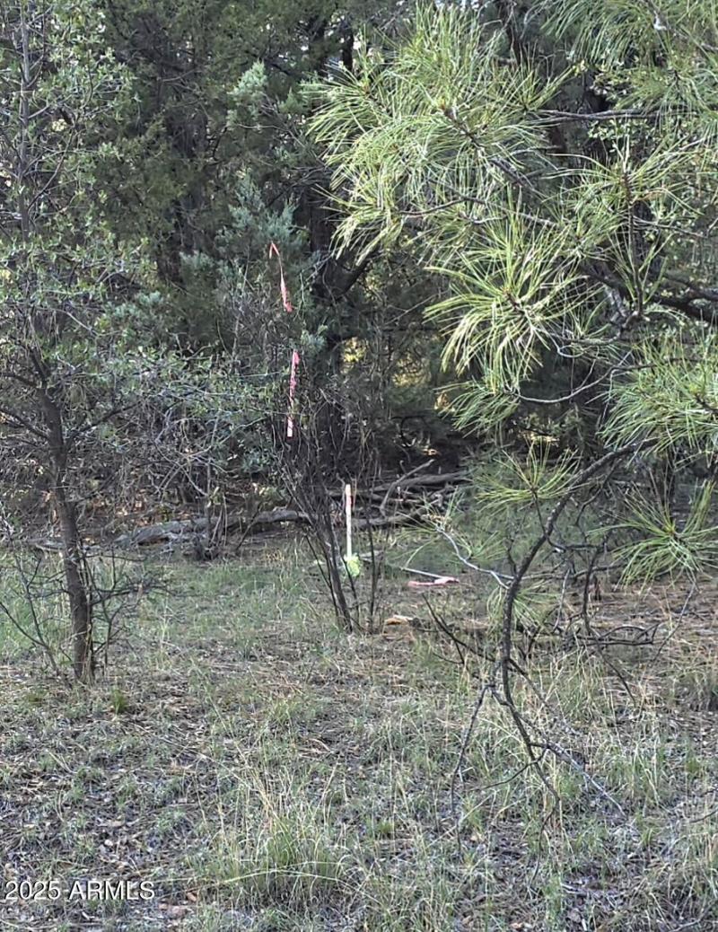 Survey Pin on TNF - N end