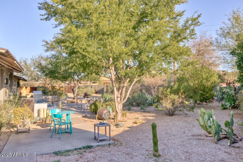 Lush desert landscape