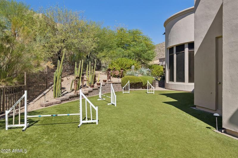 Backyard Perfect for 2 or 4 Legged Famil
