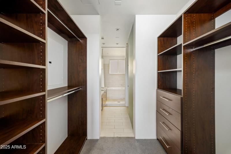 Safari Drive #3008-20