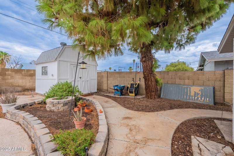 Backyard