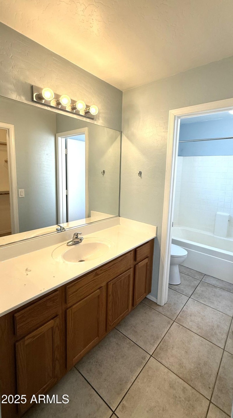 Master Bedroom Sink and Vanity