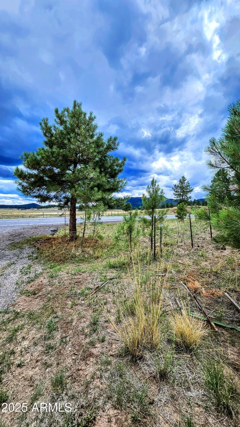 20250816_121644-EDIT