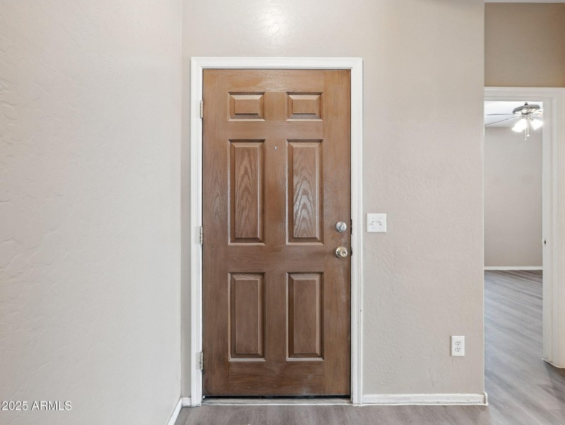 5-web-or-mls-Friesian-5