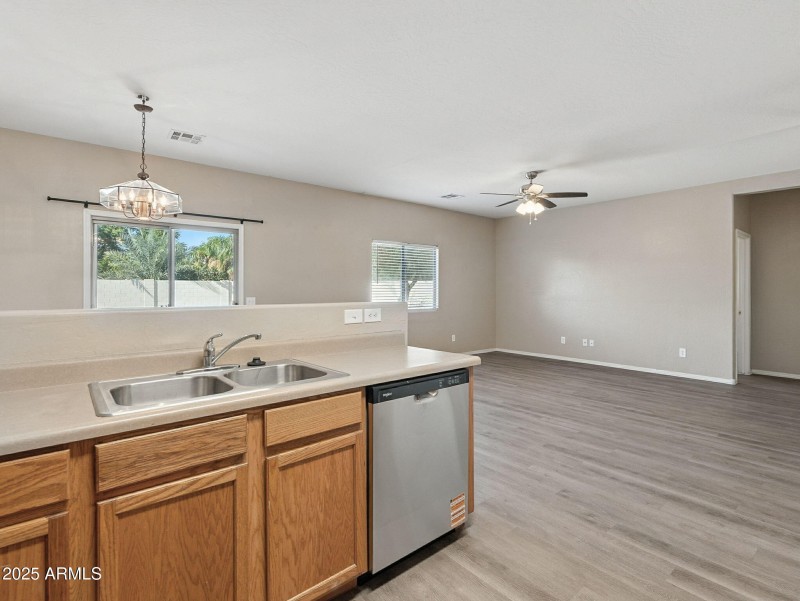 8-web-or-mls-Friesian-8