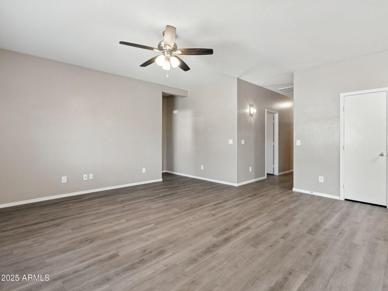 14-web-or-mls-Friesian-14