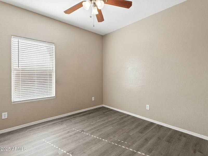 16-web-or-mls-Friesian-16