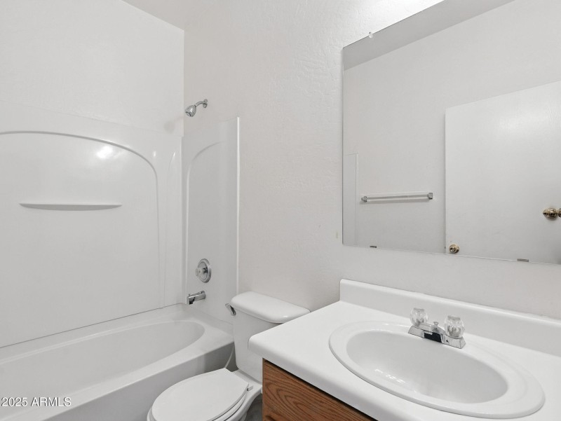 20-web-or-mls-Friesian-20