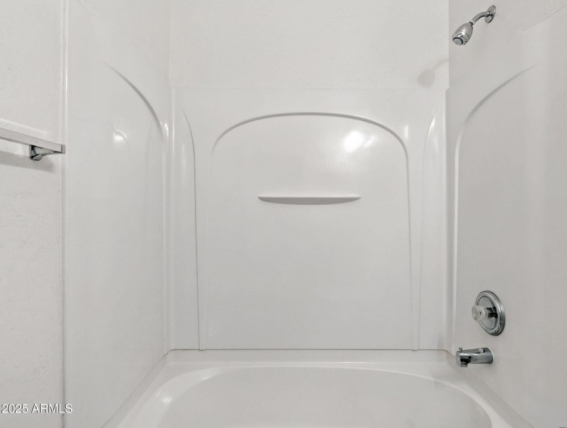 21-web-or-mls-Friesian-21