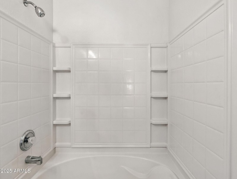 27-web-or-mls-Friesian-27