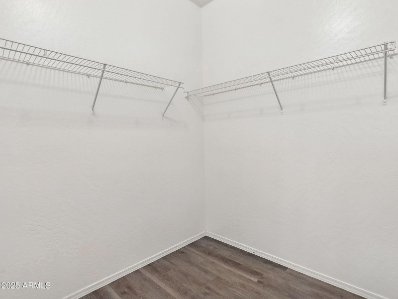 28-web-or-mls-Friesian-28