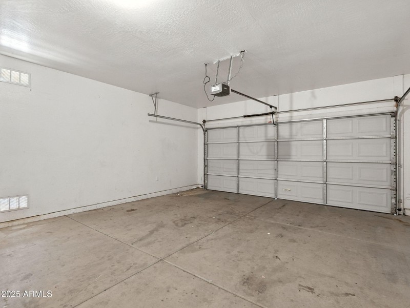 30-web-or-mls-Friesian-30