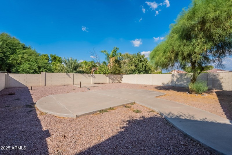 32-web-or-mls-Friesian-32