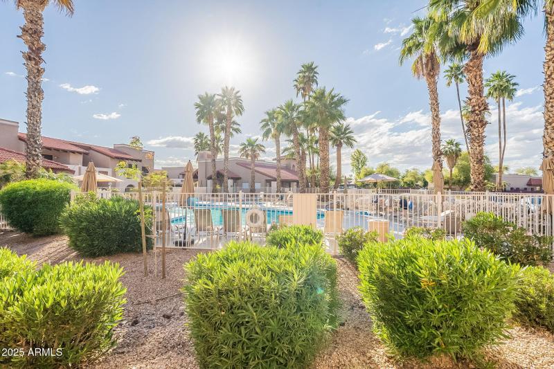 COMM. POOL - VIEW II