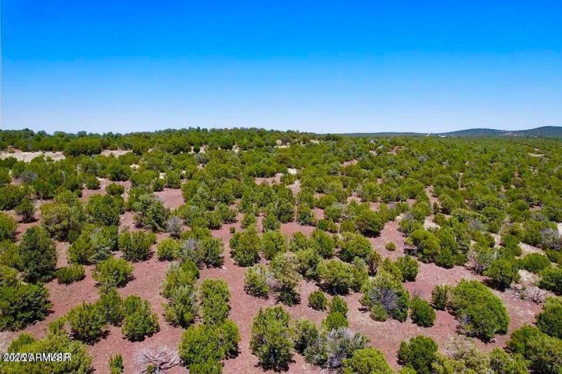 20250906064923074461000000-o