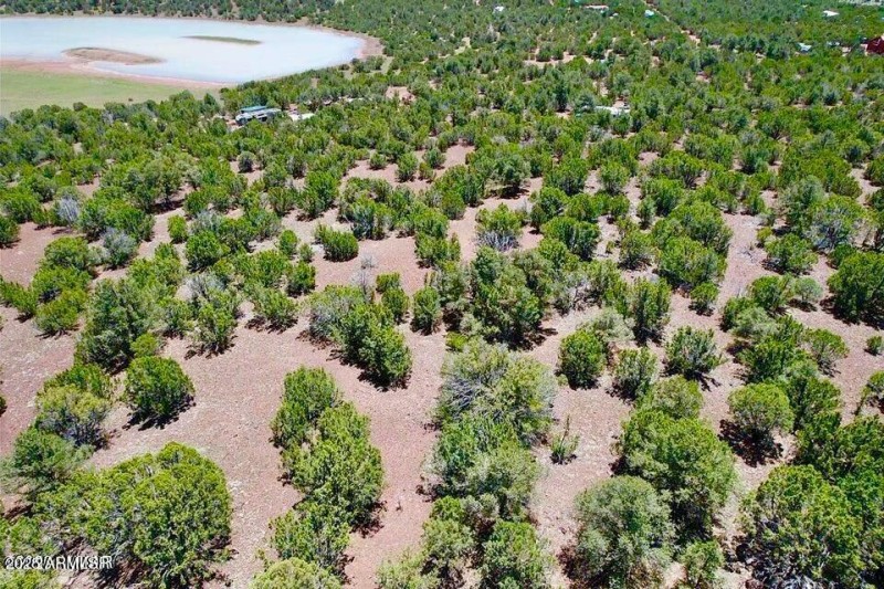 20250906064945424140000000-o