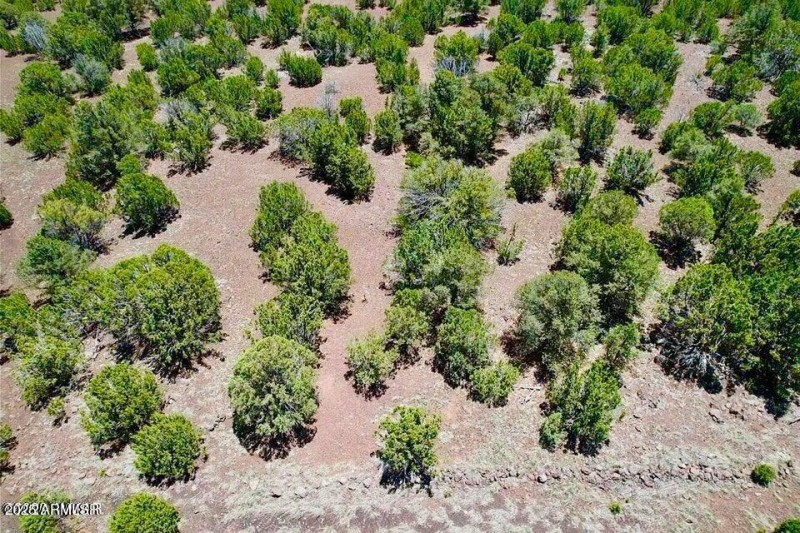 20250906065027618135000000-o