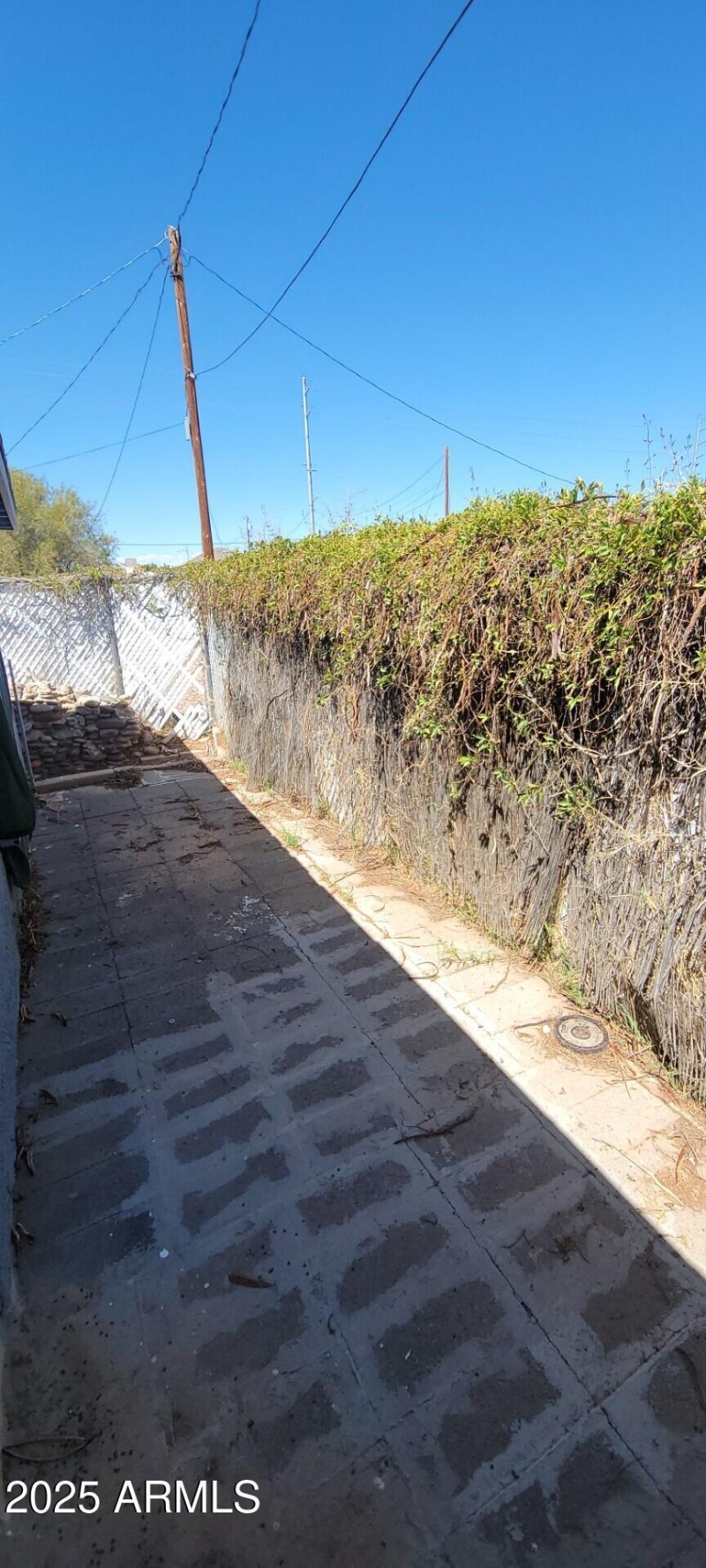 thumbnail_1000022806