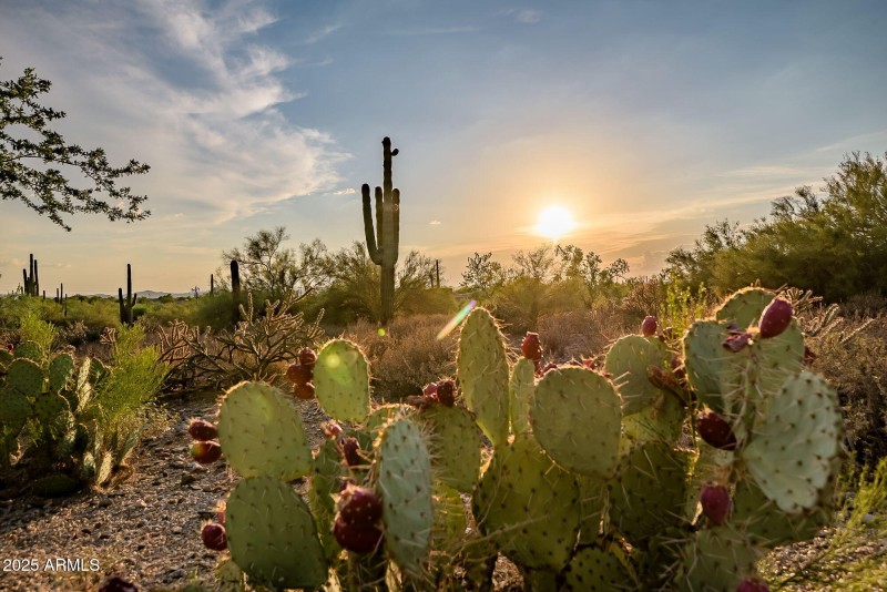 Picturesque Settings