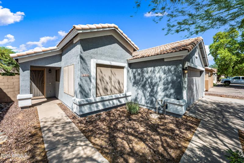 Shade Screens on the Windows
