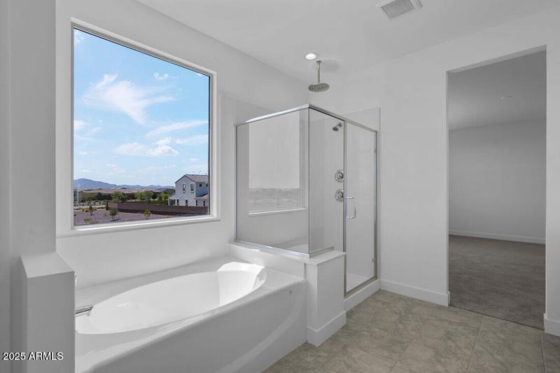 17149 W Sweet Iron Pass - Ready Now!