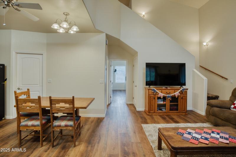 Bright Natural Light