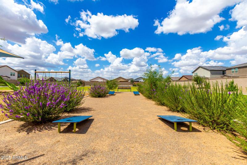 New Bonnet - Community 10