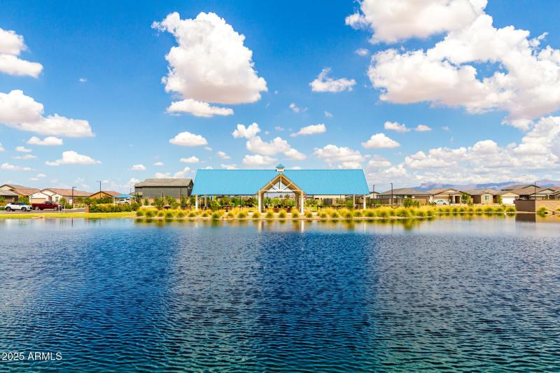 New Bonnet - Community 12