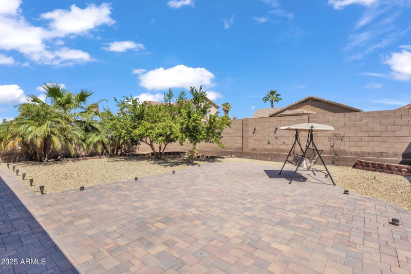 Newly designed backyard