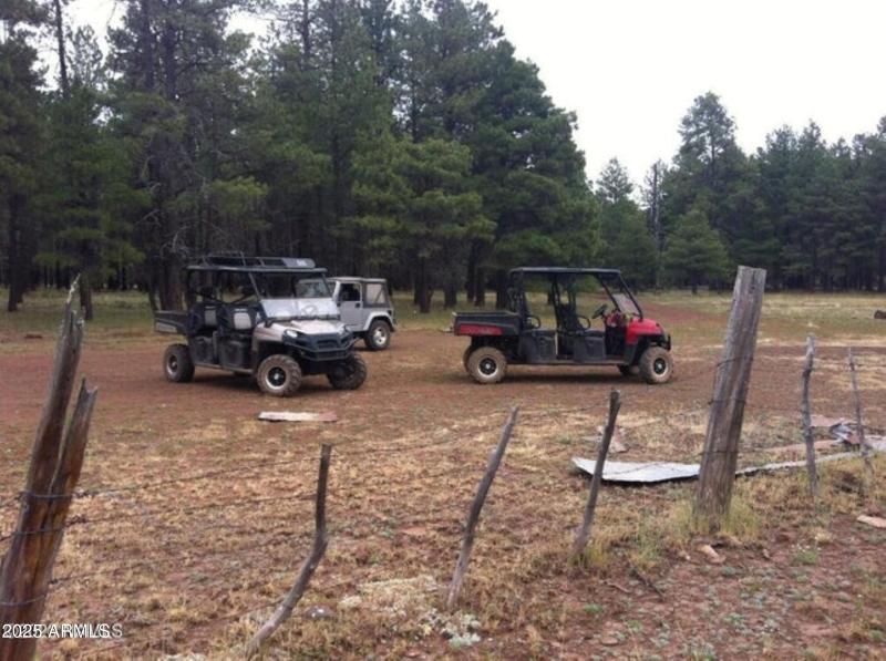 UTV trails