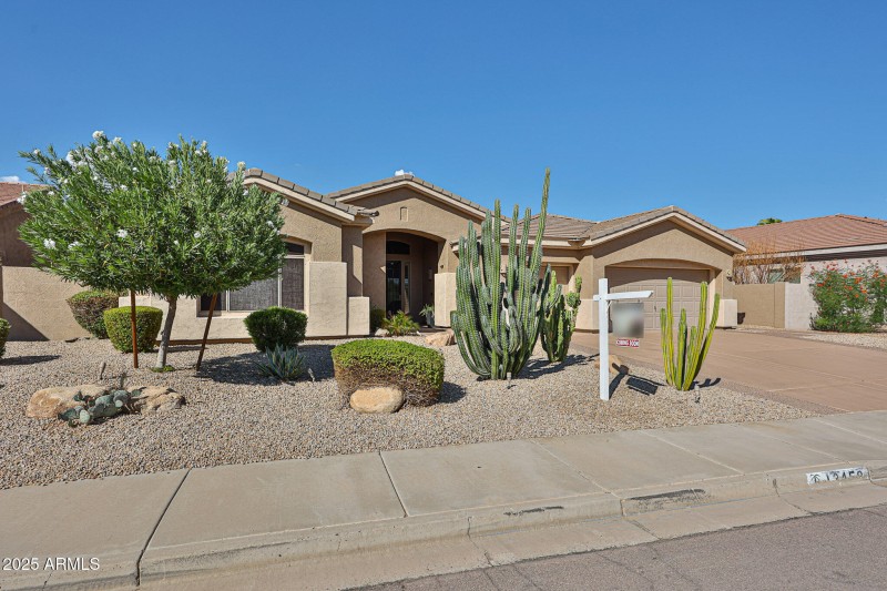 Easy Peasy yard care