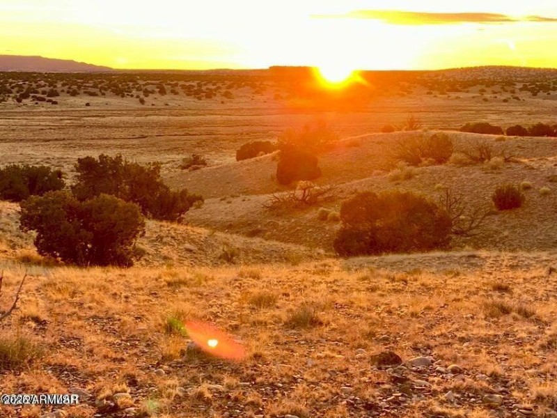 20250909223821266788000000-o