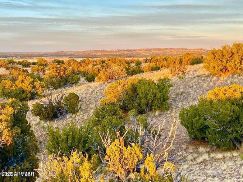 20250909223840398977000000-o