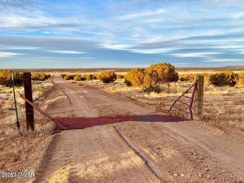 20250909223932563882000000-o