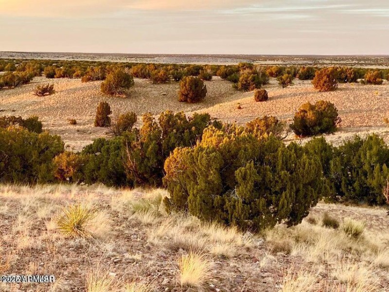 20250909224156296964000000-o