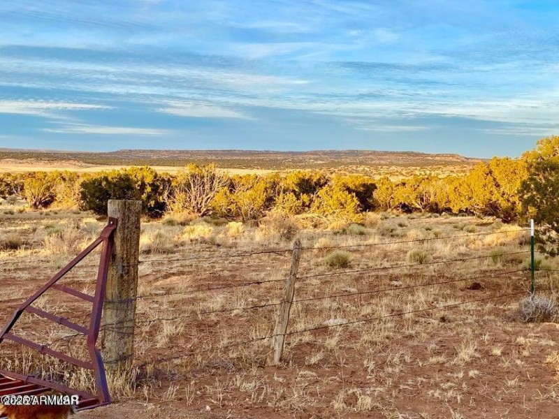 20250909224253954609000000-o