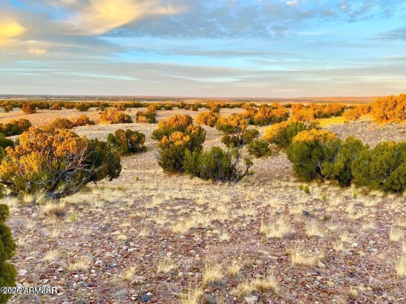 20250909224543719930000000-o