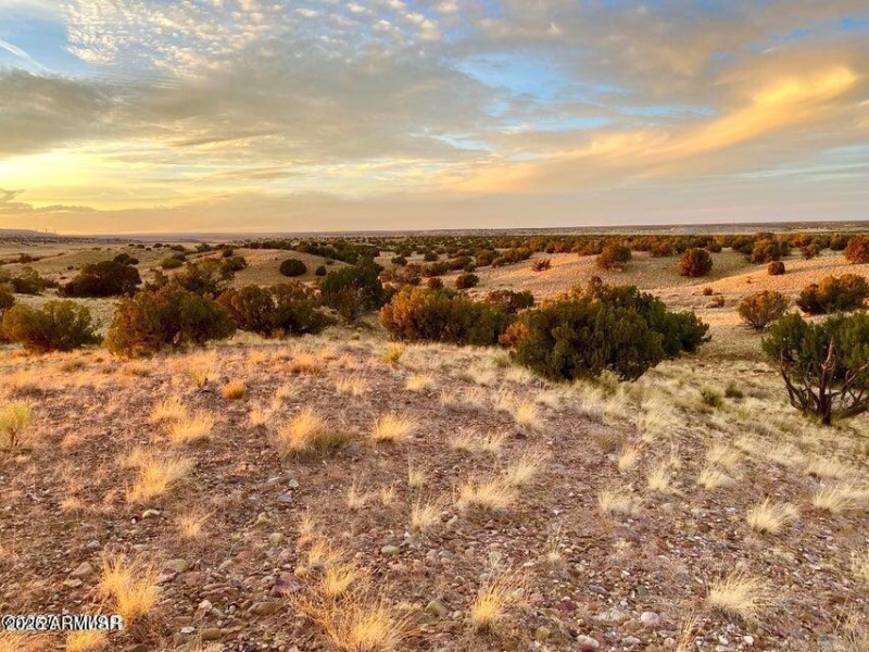 20250909224652270652000000-o