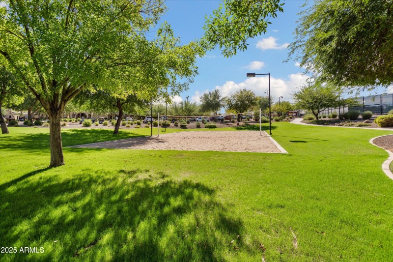 060-Sun City Festival - Sage (5)